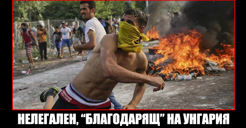 МЕЖДУНАРОДНИ МЕРКИ ЗА НЕУТРАЛИЗИРАНЕ НА МИЛИОНИТЕ НЕЛЕГАЛНИ МИГРАНТИ НАХЛУВАЩИ БЕЗКОНТРОЛНО В ЕВРОПА МЕЖДУНАРОДНИ МЕРКИ ЗА НЕУТРАЛИЗИРАНЕ НА МИЛИОНИТЕ НЕЛЕГАЛНИ МИГРАНТИ НАХЛУВАЩИ БЕЗКОНТРОЛНО В ЕВРОПА